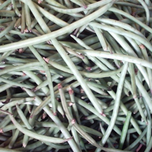 Cowpea imported image