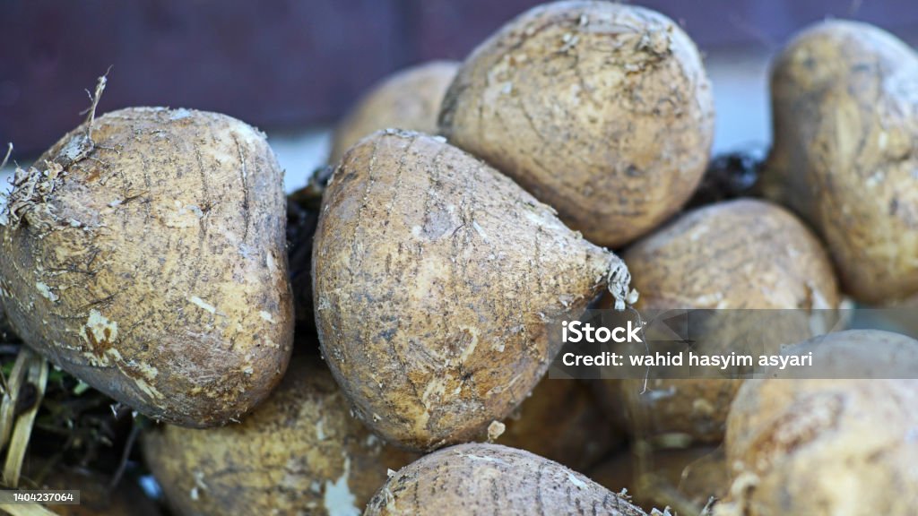 Yam Bean imported image