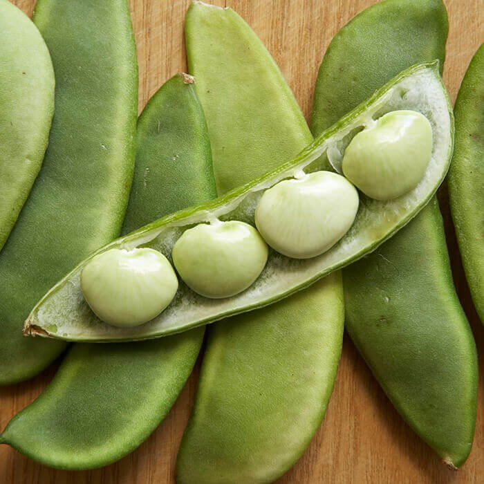 Lima bean imported image