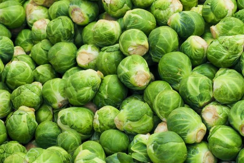 Brussels Sprouts imported image