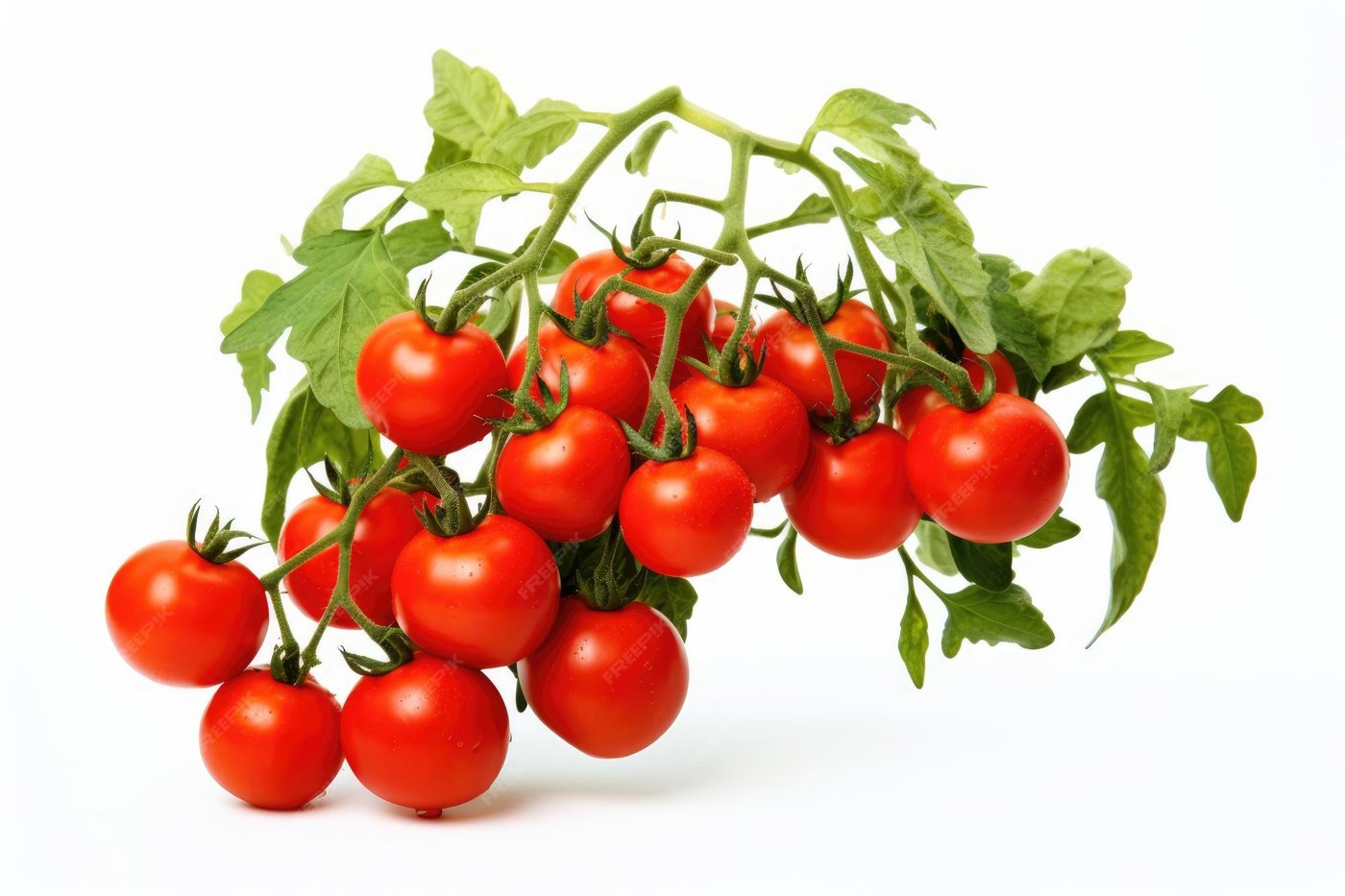 Tomato imported image