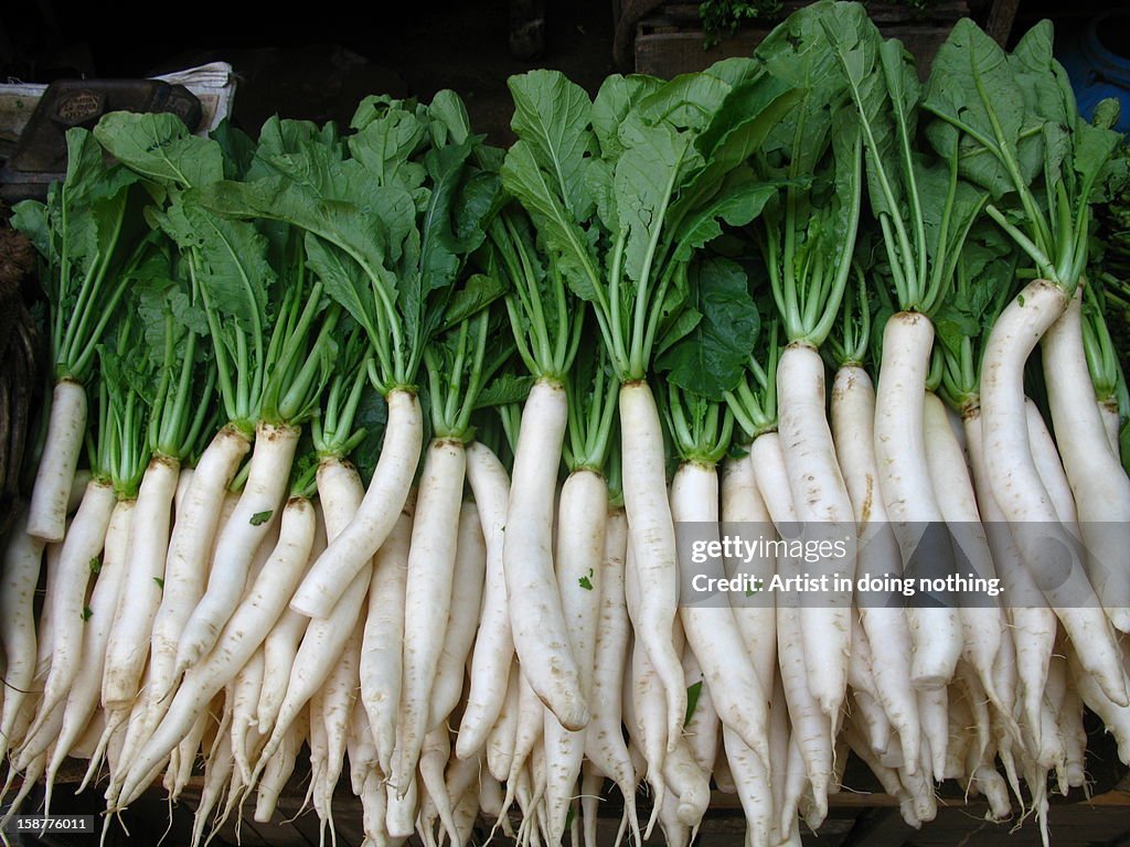 Daikon Radish imported image