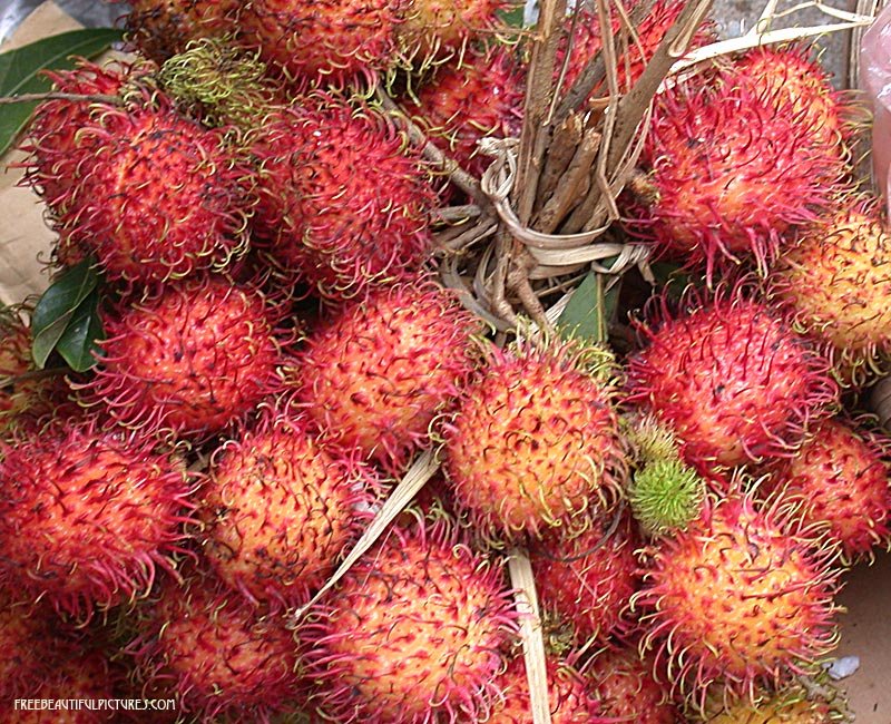 Rambutan imported image
