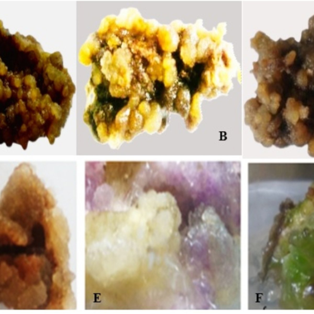 Ethiopian Potato imported image