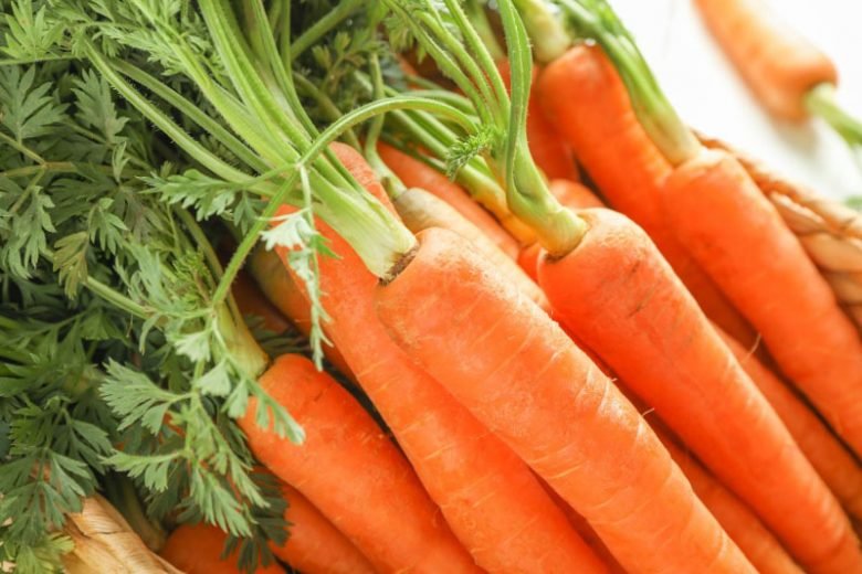 Carrot imported image