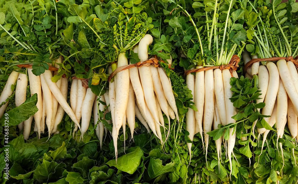 Daikon Radish